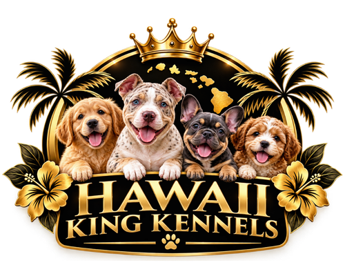 Hawaii King Kennels logo